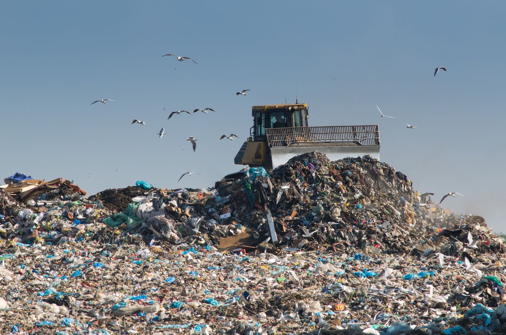 Śmieci – śmierdzący problem, czy o krok od katastrofy? 