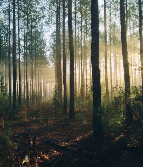 Doskonała lokalizacja